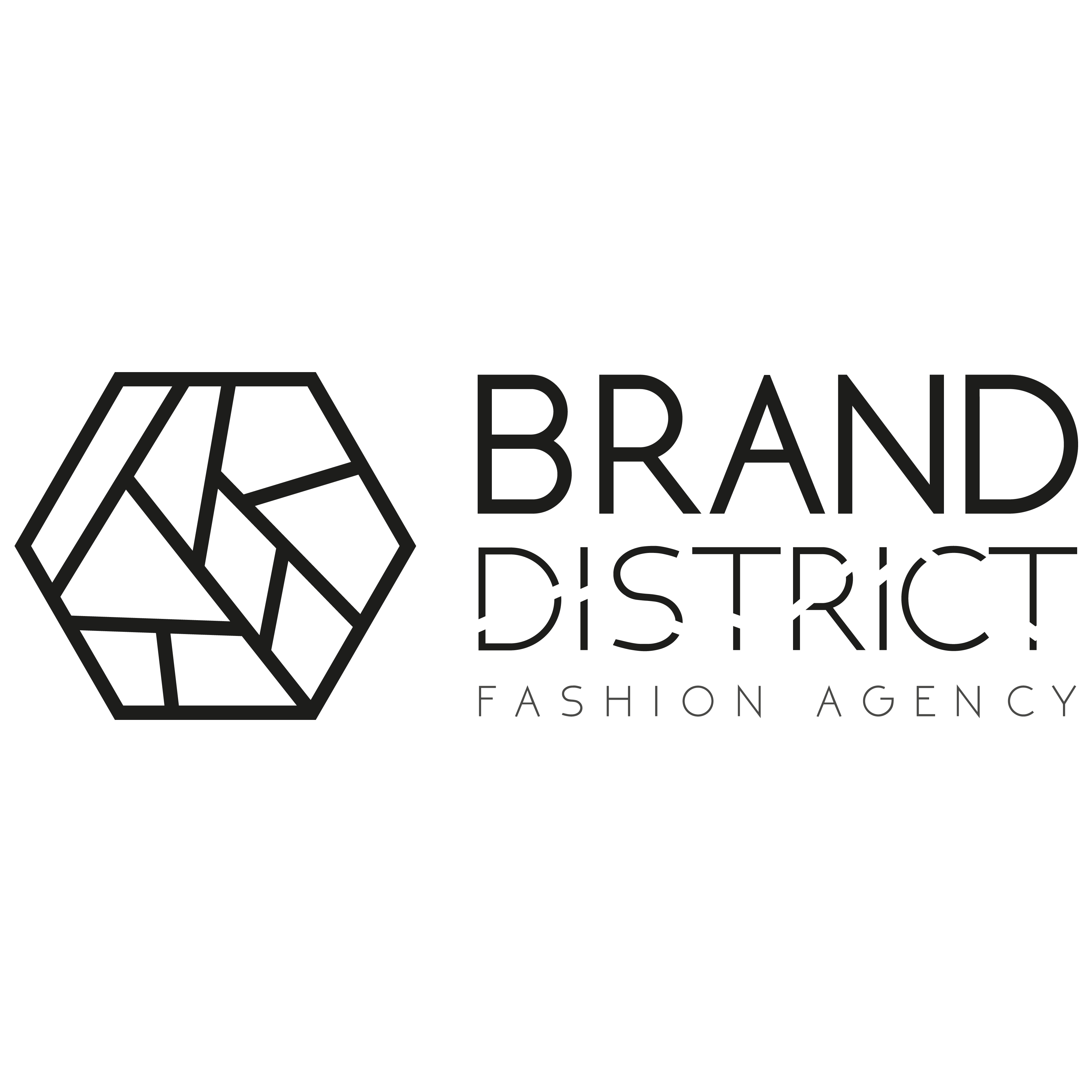 Logo Brand District